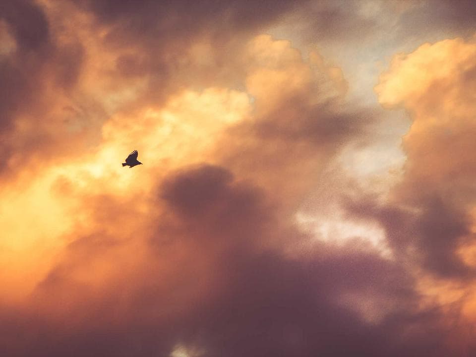 Atlas Commerce preview