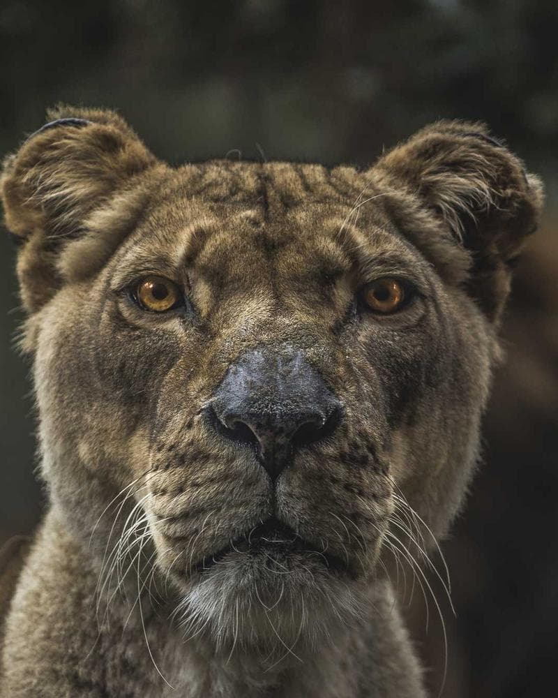 Bloom Commerce project