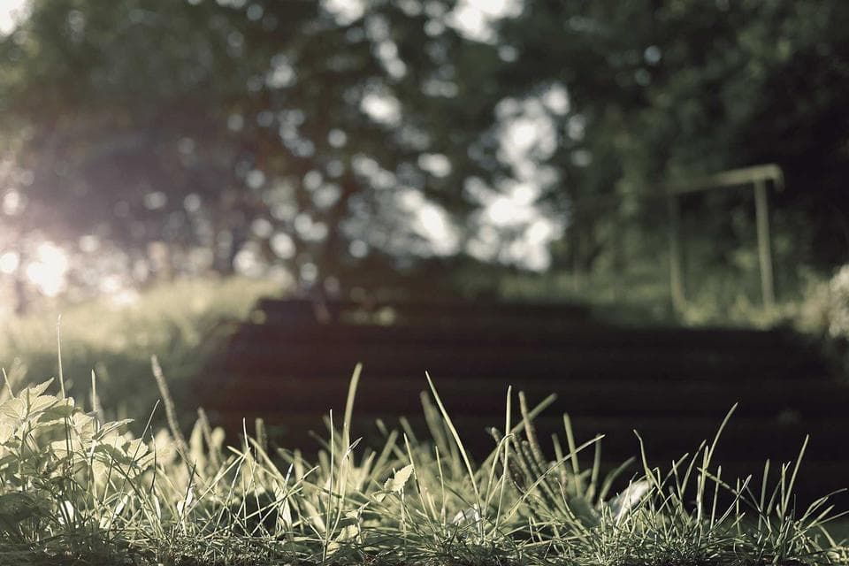 Northwind API project