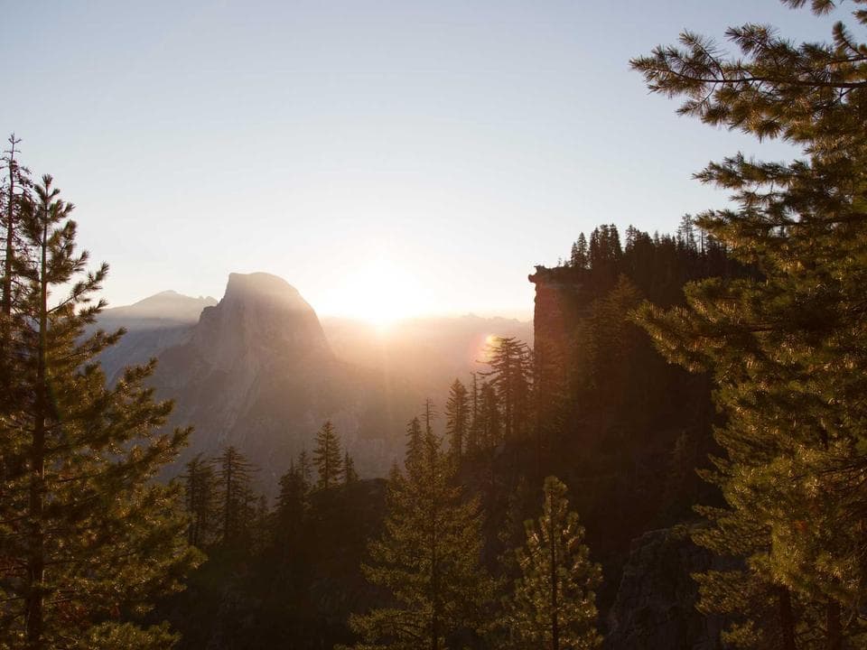 WordPress Development